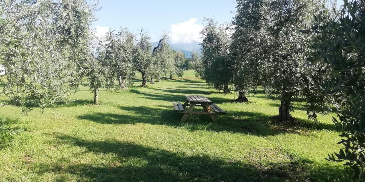 Agriturismo Fioralba Polpenazze del Garda Bagian luar foto