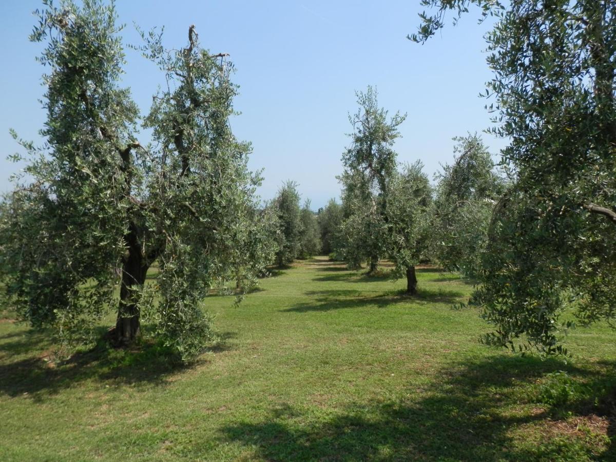 Agriturismo Fioralba Polpenazze del Garda Bagian luar foto