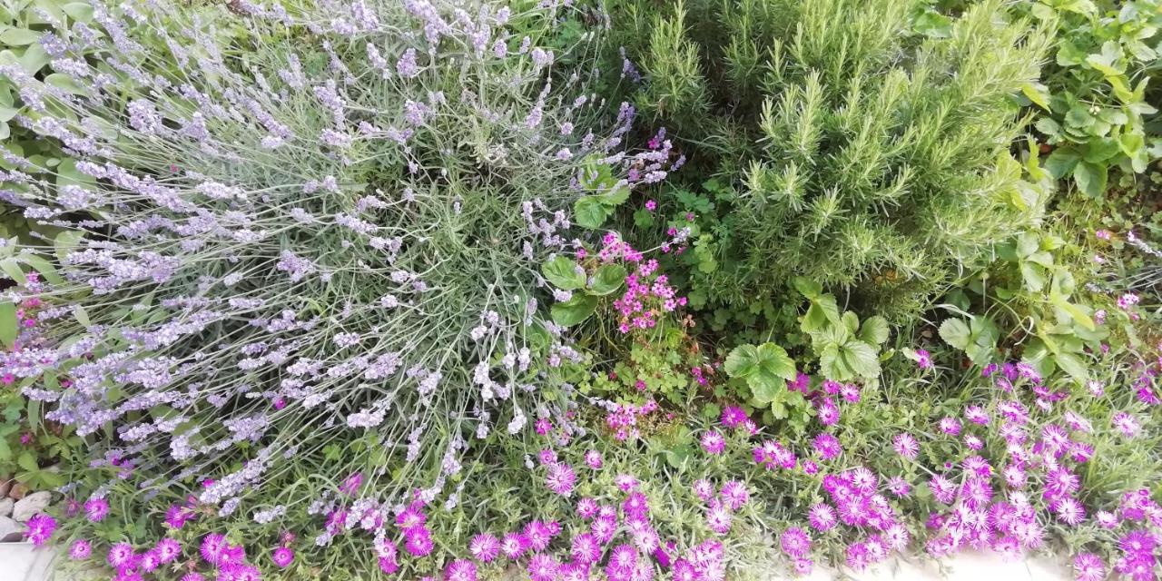 Agriturismo Fioralba Polpenazze del Garda Bagian luar foto