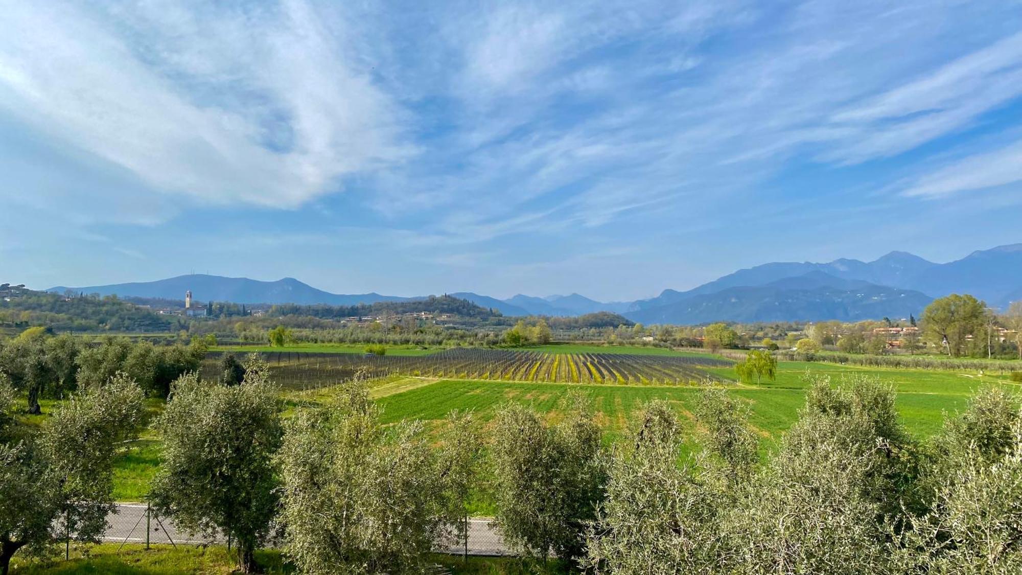 Agriturismo Fioralba Polpenazze del Garda Bagian luar foto