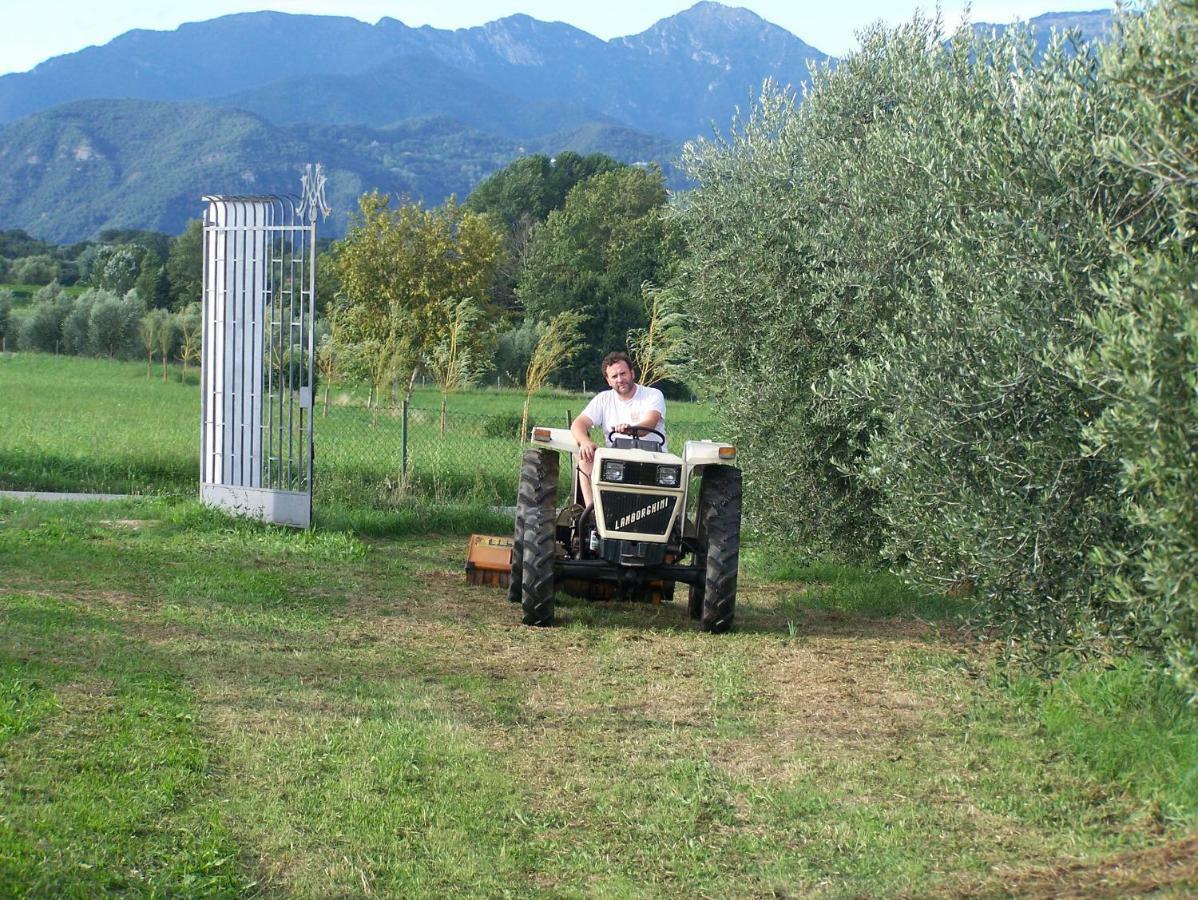 Agriturismo Fioralba Polpenazze del Garda Bagian luar foto
