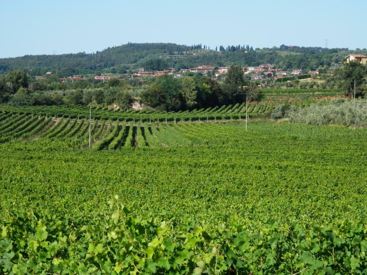 Agriturismo Fioralba Polpenazze del Garda Bagian luar foto