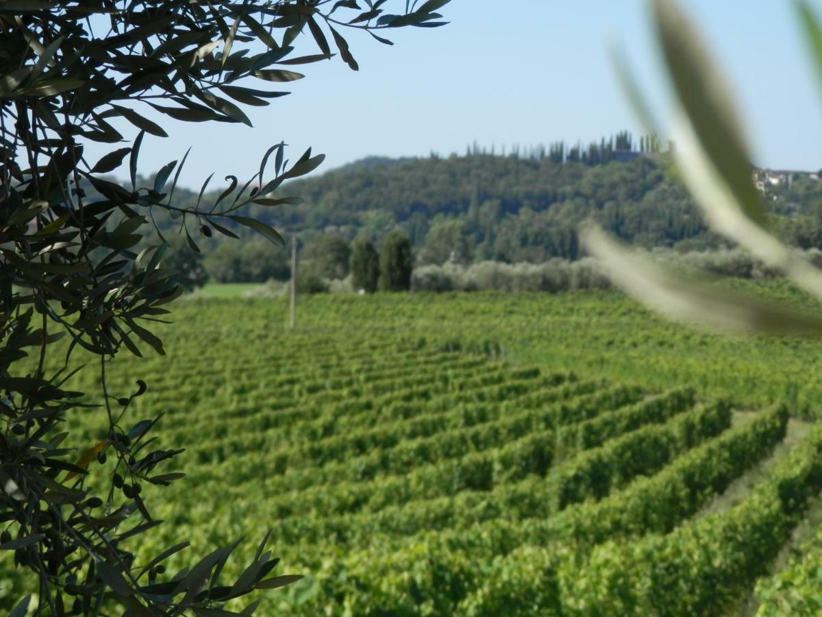 Agriturismo Fioralba Polpenazze del Garda Bagian luar foto
