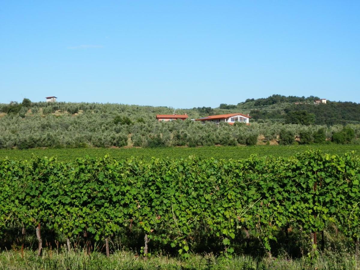 Agriturismo Fioralba Polpenazze del Garda Bagian luar foto