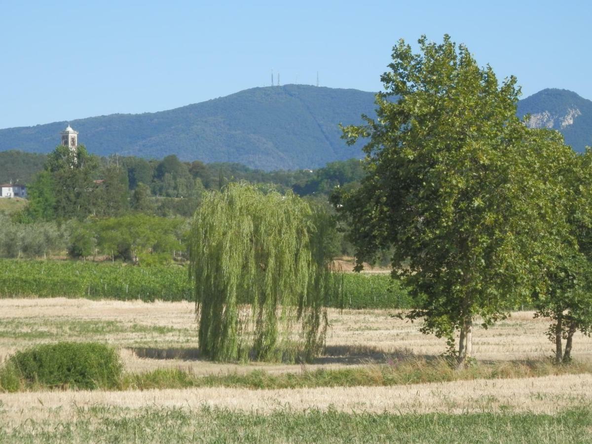 Agriturismo Fioralba Polpenazze del Garda Bagian luar foto